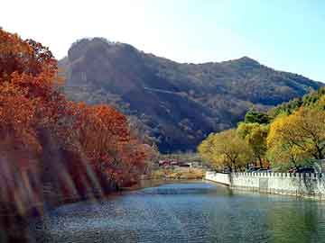 澳门最准的资料免费公开，海意背景